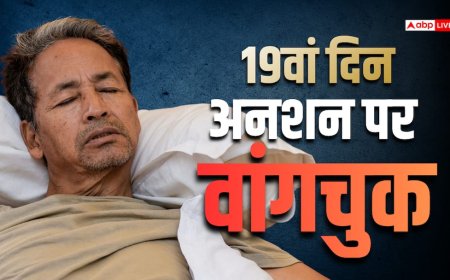 'हर जान की कीमत, अगर जरूरत पड़े तो...' सोनम वांगचुक को लेकर याचिका पर हाईकोर्ट का केंद्र सरकार को निर्देश