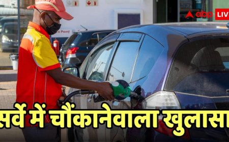 E20 पेट्रोल पर सबसे बड़ा सर्वे, एथेनॉल से गाड़ी का माइलेज बढ़ा या घटा? जानें कार मालिकों ने क्या बताया