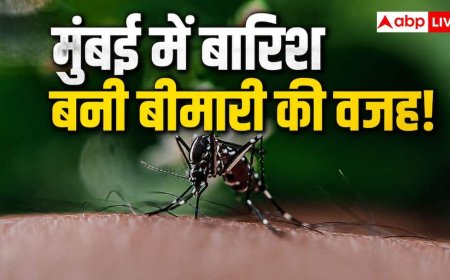 Dengue Outbreak in Mumbai: बारिश के साथ बढ़ा बीमारियों का खतरा! मुंबई में डेंगू-स्वाइन फ्लू के मामले तेजी से बढ़े