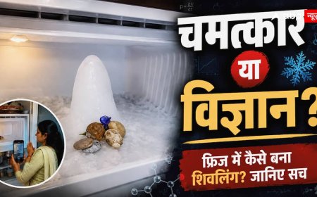 घर के लिए कौन सा Smart Speaker खरीदना चाहिए? जानिए Echo Dot और Google Nest में क्या है अंतर