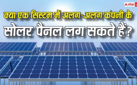 क्या एक साथ यूज किए जा सकते हैं अलग-अलग कंपनियों के सोलर पैनल? यहां जानें सारी जरूरी बातें