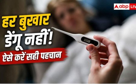 Normal Fever vs Dengue: हर बुखार डेंगू नहीं होता... मानसून सीजन में ऐसे पहचानें कौन सा फीवर नॉर्मल और कौन सा नहीं?