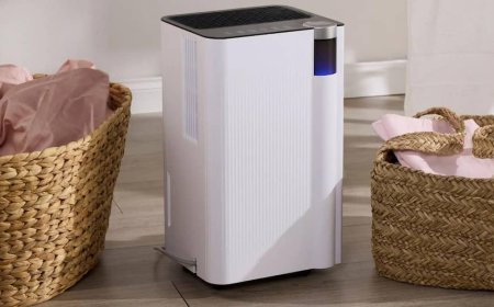 सावधान! Dehumidifier इस्तेमाल करने वालों के लिए बड़ी चेतावनी, ऐसा करने से हो सकता है बड़ा हादसा