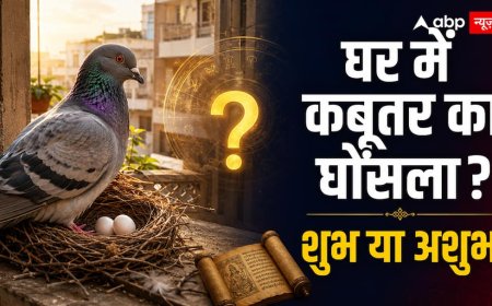 घर में कबूतर का आना और घोंसला बनाना: शुभ या अशुभ? जानिए नारद संहिता और वास्तु का सच