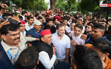 कांग्रेस सांसदों को भी नहीं पता था राहुल गांधी के धरने का 'सीक्रेट प्लान'! अब हुआ बड़ा खुलासा