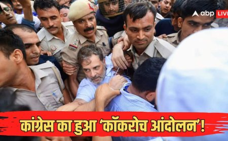 Explained: वांगचुक और CJP की 'जमीन' पर कांग्रेसी कब्जा! एक्सपर्ट्स से जानें कैसे राहुल के बाद आंदोलन का हुआ 'कांग्रेसीकरण'?