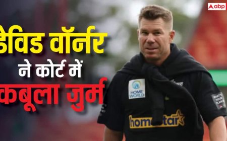 शराब पीकर गाड़ी चलाना पड़ा भारी, डेविड वॉर्नर ने कोर्ट में कबूला जुर्म, इस दिन सुनाई जाएगी सजा