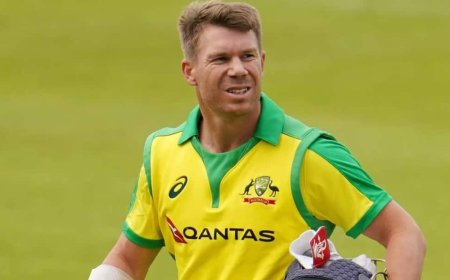 David Warner Case: डेविड वार्नर ने कोर्ट में क्या कुछ कहा? लगा था ये गंभीर आरोप