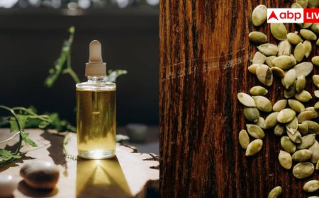 Pumpkin Seed Oil Tips: घर में बनाना चाहते हैं कद्दू के बीज के तेल, जान लें बालों को बढ़ाने वाले ये सीक्रेट टिप्स