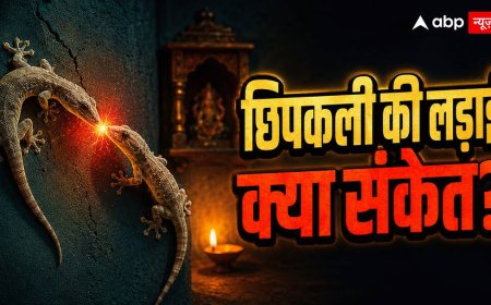 दो छिपकलियों की लड़ाई देखकर न करें नजरअंदाज, शकुन शास्त्र में बताया गया है अर्थ