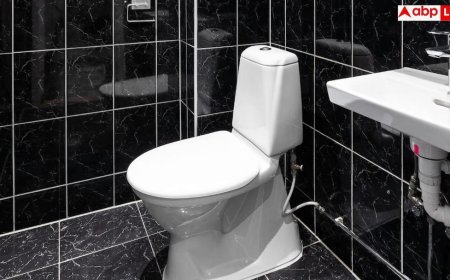 Frequent Bowel Movements: क्या आपको भी थोड़ी-थोड़ी देर में जाना पड़ता है बाथरूम? जानिए किस बीमारी का है यह संकेत
