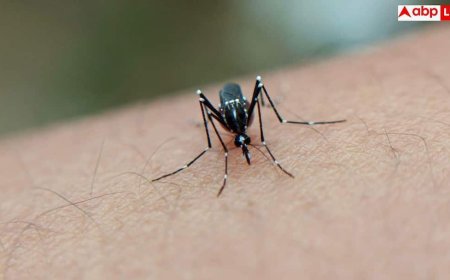Japanese Encephalitis: डेंगू-मलेरिया से भी खतरनाक है यह बीमारी! मच्छर के काटते ही सूज जाता है दिमाग