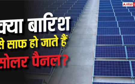 क्या बारिश से एकदम साफ हो जाते हैं सोलर पैनल? यहां जानें सच