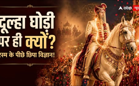 दूल्हा घोड़ी पर ही क्यों आता है? शादी की इस रस्म के पीछे छिपी है दिलचस्प कहानी