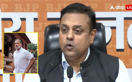 'गृह मंत्री नहीं मजिस्ट्रेट देता आदेश', राहुल के आरोपों पर BJP की प्रेस कॉन्फ्रेंस