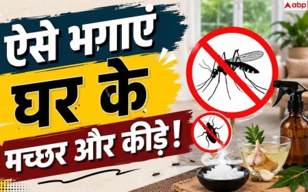 How To Keep Bugs Away: लाइट जलते ही घर में आते कीड़े? अपनाएं यह आसान ट्रिक