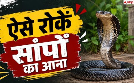 Snake Prevention Tips: बारिश में न आएं सांप, अपनाएं ये आसान टिप्स