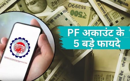 PF News: पीएफ अकाउंट के 5 फायदे, जो बनाएंगे आपका भविष्य, मिलेगा बेहतर रिटर्न