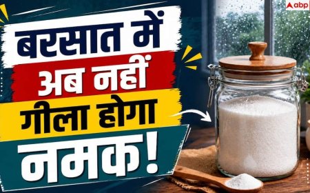 Salt Storage Tips: नमक बरसात में गीला क्यों हो जाता है? बचाने के उपाय