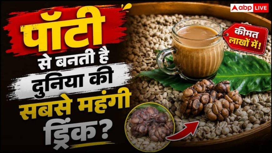 Kopi Luwak: इस जानवर की पॉटी से बनती है दुनिया की सबसे महंगी  ड्रिंक! एक कप की कीमत जानकर उड़ जाएंगे होश
