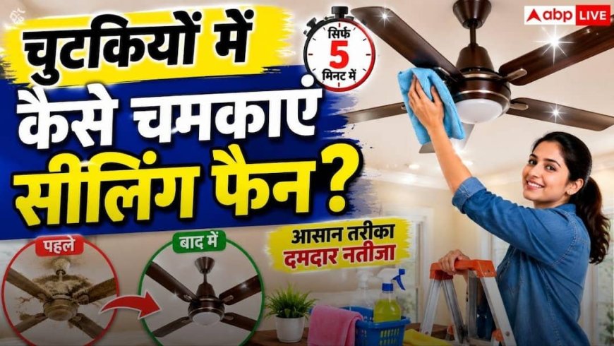 Ceiling Fan Cleaning Tips: बिना धूल उड़ाए मिनटों में चमकेगा सीलिंग फैन, नोट करें साफ करने की धांसू देसी ट्रिक