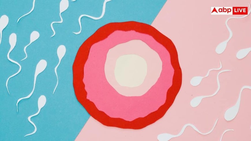 Male Fertility: सिर्फ सिगरेट या तंबाकू नहीं, इन वजहों से भी जीरो हो जाता है स्पर्म काउंट; नहीं बन पाएंगे पापा