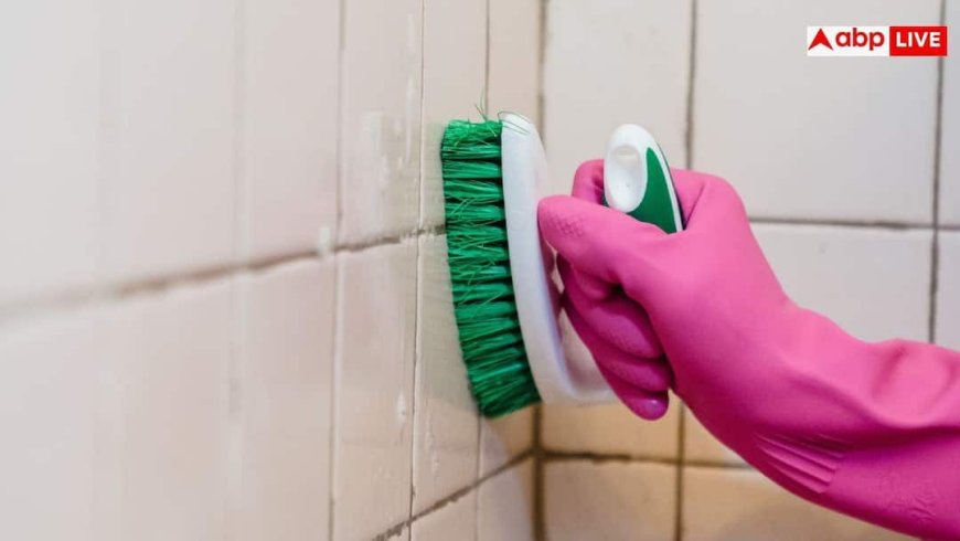 Bathroom Cleaning Tips: बाथरूम या नल के नीचे जमी जिद्दी काई से हैं परेशान? इन घरेलू चीजों से लाएं चकाचक चमक