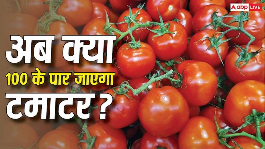 Tomato Price: मानसून गर्मी से राहत देगा, महंगाई से नहीं! बचाकर चलो टमाटर, फिर बढ़ गए रेट