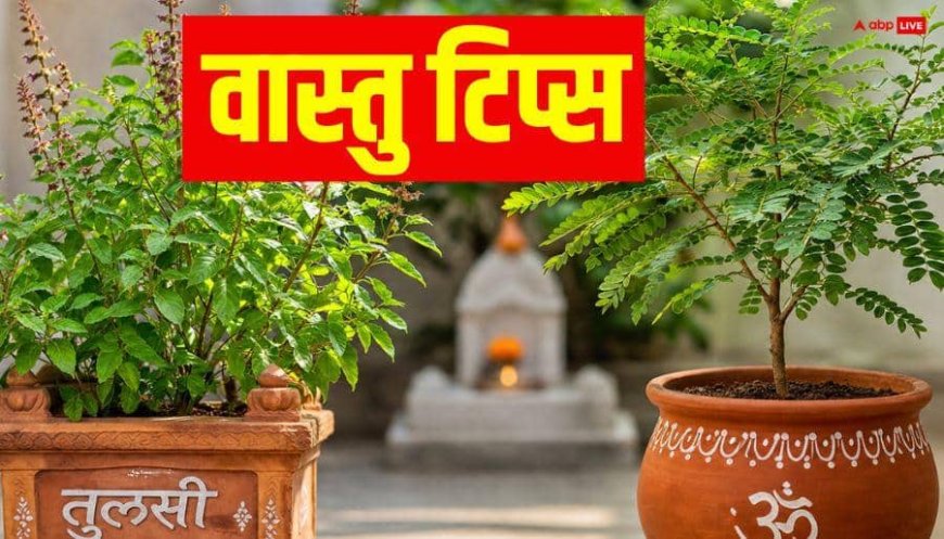 Vastu Tips: तुलसी के साथ इस पौधे को लगाने की भूल न करें, चली जाएगी घर की बरकत, कष्ट नहीं होंगे कम!