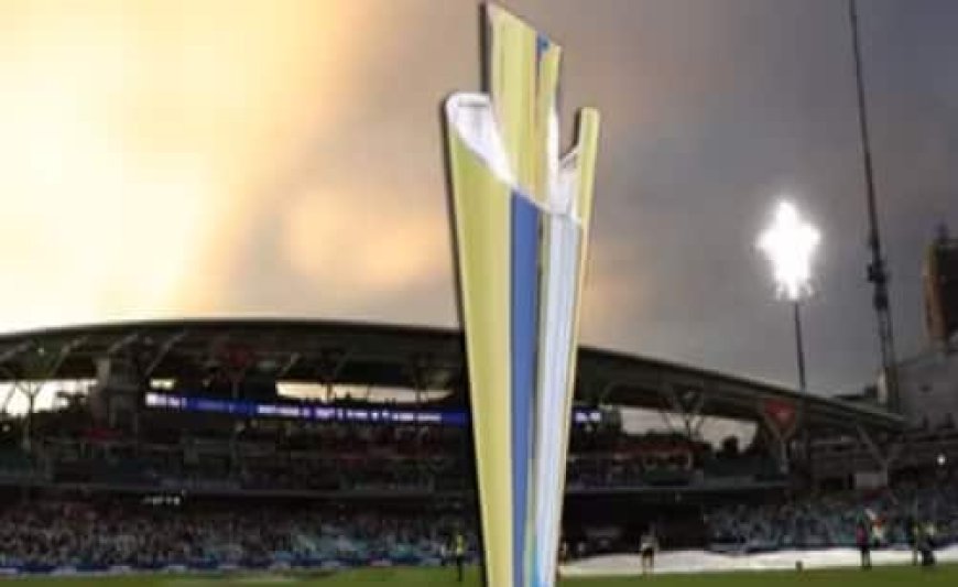T20 WC जीतने पर ऑस्ट्रेलिया को कितने करोड़ मिले, ग्रुप स्टेज से बाहर होने के बावजूद टीम इंडिया भी मालामाल, देखें पूरी प्राइज मनी लिस्ट