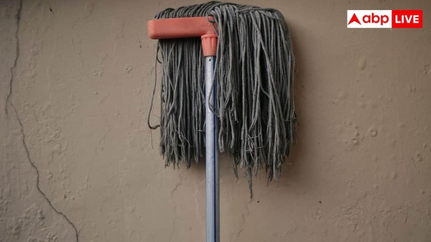 When To Replace Mop: कितने दिनों में बदलना चाहिए घर में यूज होने वाला पोछा, लापरवाही से इन बीमारियों का रहता है खतरा