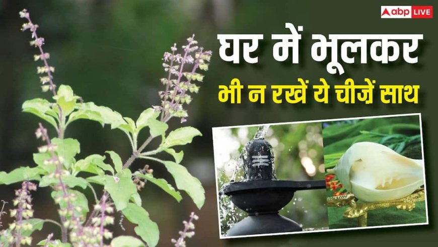 Vastu Tips: घर में तुलसी, शंख और शिवलिंग तीनों को एक साथ रखना पड़ सकता है भारी, तुरंत जान लें वजह