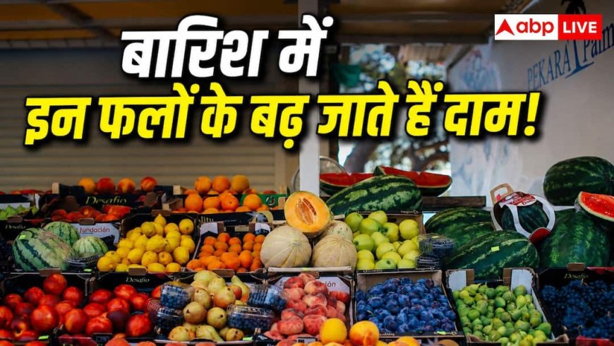 Expensive Fruits During Monsoon: बरसात के दिनों में कौन-कौन से फल हो जाते हैं महंगे? एक क्लिक में देख लें पूरी लिस्ट