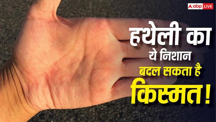 Palmistry Tips: हथेली में अगर बन रहा है यह दुर्लभ निशान, तो व्यक्ति को जीवन में मिलती है अपार सफलता और धन