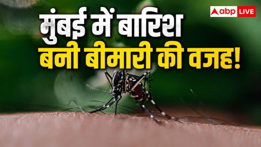 Dengue Outbreak in Mumbai: बारिश के साथ बढ़ा बीमारियों का खतरा! मुंबई में डेंगू-स्वाइन फ्लू के मामले तेजी से बढ़े