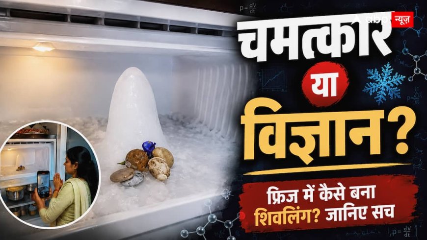 घर के लिए कौन सा Smart Speaker खरीदना चाहिए? जानिए Echo Dot और Google Nest में क्या है अंतर