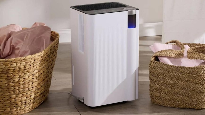सावधान! Dehumidifier इस्तेमाल करने वालों के लिए बड़ी चेतावनी, ऐसा करने से हो सकता है बड़ा हादसा