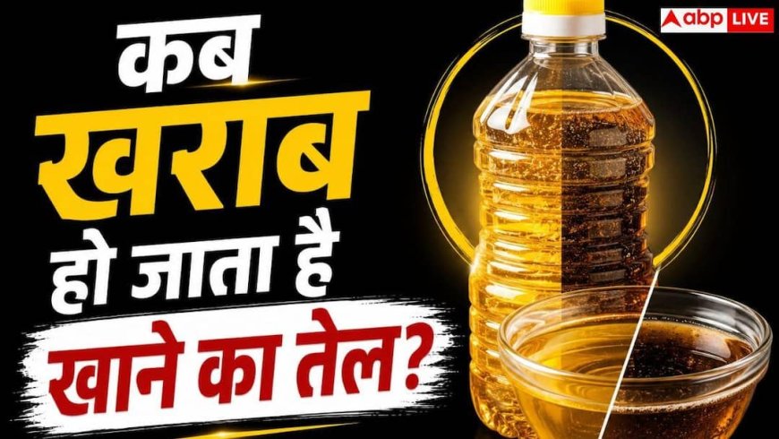 How Long Does Cooking Oil Last: क्या रसोई में रखा तेल भी हो सकता है खराब, जानिए कितने दिनों तक इस्तेमाल करना सुरक्षित?