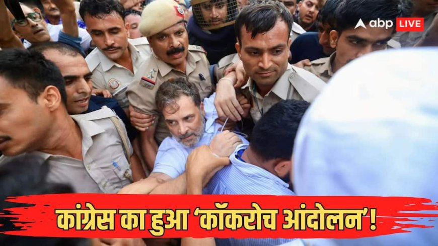 Explained: वांगचुक और CJP की 'जमीन' पर कांग्रेसी कब्जा! एक्सपर्ट्स से जानें कैसे राहुल के बाद आंदोलन का हुआ 'कांग्रेसीकरण'?
