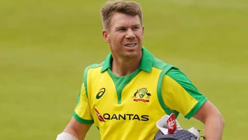 David Warner Case: डेविड वार्नर ने कोर्ट में क्या कुछ कहा? लगा था ये गंभीर आरोप