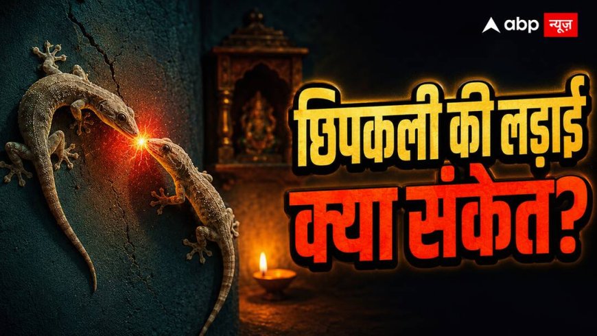 दो छिपकलियों की लड़ाई देखकर न करें नजरअंदाज, शकुन शास्त्र में बताया गया है अर्थ