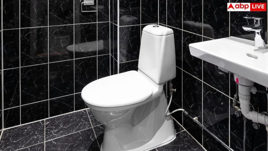 Frequent Bowel Movements: क्या आपको भी थोड़ी-थोड़ी देर में जाना पड़ता है बाथरूम? जानिए किस बीमारी का है यह संकेत