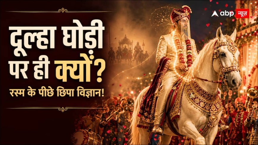 दूल्हा घोड़ी पर ही क्यों आता है? शादी की इस रस्म के पीछे छिपी है दिलचस्प कहानी