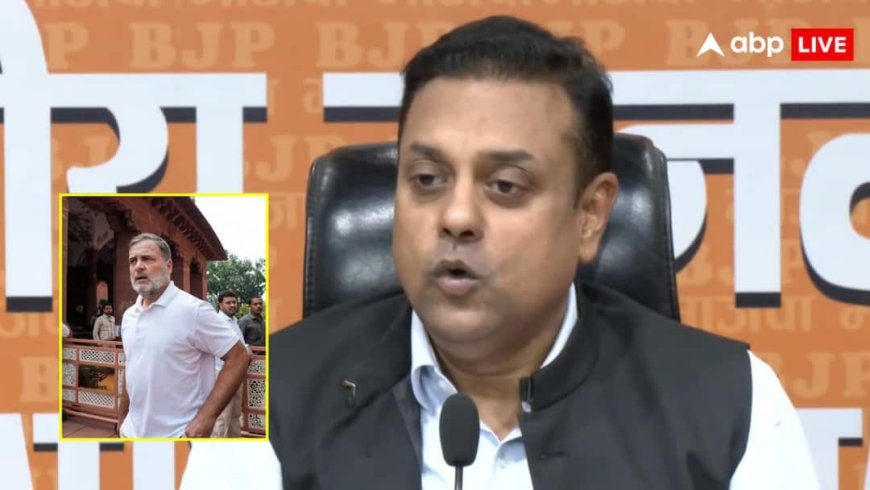 'गृह मंत्री नहीं मजिस्ट्रेट देता आदेश', राहुल के आरोपों पर BJP की प्रेस कॉन्फ्रेंस