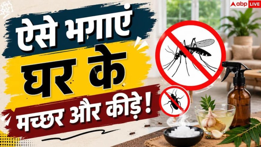 How To Keep Bugs Away: लाइट जलते ही घर में आते कीड़े? अपनाएं यह आसान ट्रिक