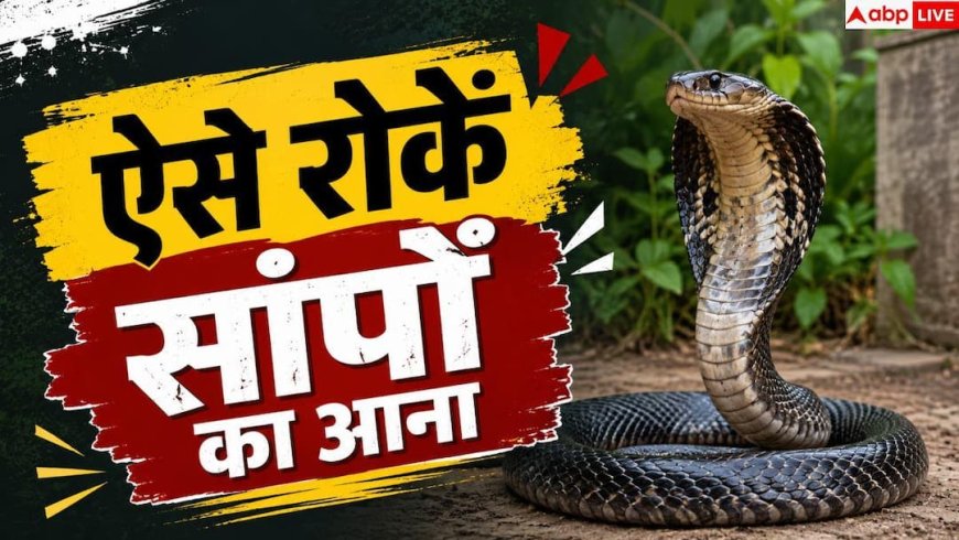 Snake Prevention Tips: बारिश में न आएं सांप, अपनाएं ये आसान टिप्स