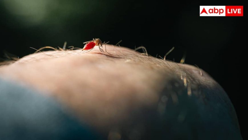 Increasing Cases of Dengue Virus: महामारी बनेगा डेंगू! देश में एक साथ एक्टिव हुए चारों स्ट्रेन