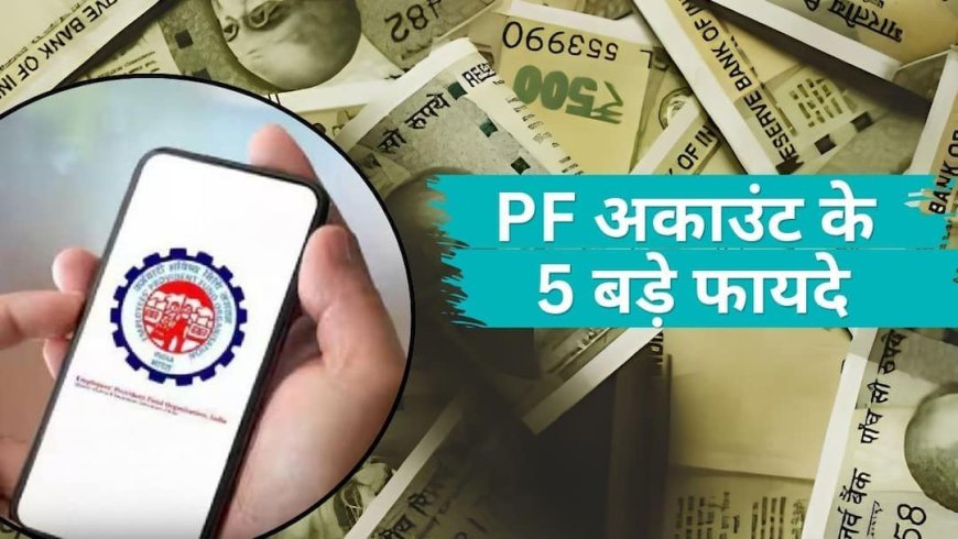 PF News: पीएफ अकाउंट के 5 फायदे, जो बनाएंगे आपका भविष्य, मिलेगा बेहतर रिटर्न