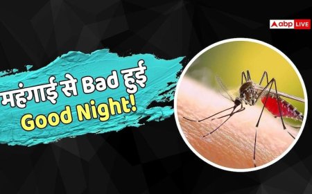 FMCG: अब मच्छरों को मारना पड़ेगा महंगा, बढ़ गए रोजाना इस्तेमाल वाले प्रोडक्ट्स के दाम