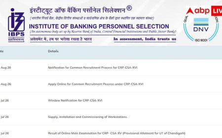 IBPS क्लर्क भर्ती के लिए आवेदन शुरू, 11403 पदों पर निकली वैकेंसी